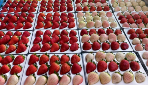 微信图片_2026-01-08_172921_566