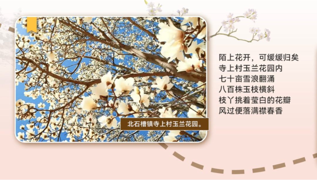 微信图片_2026-01-13_173807_885