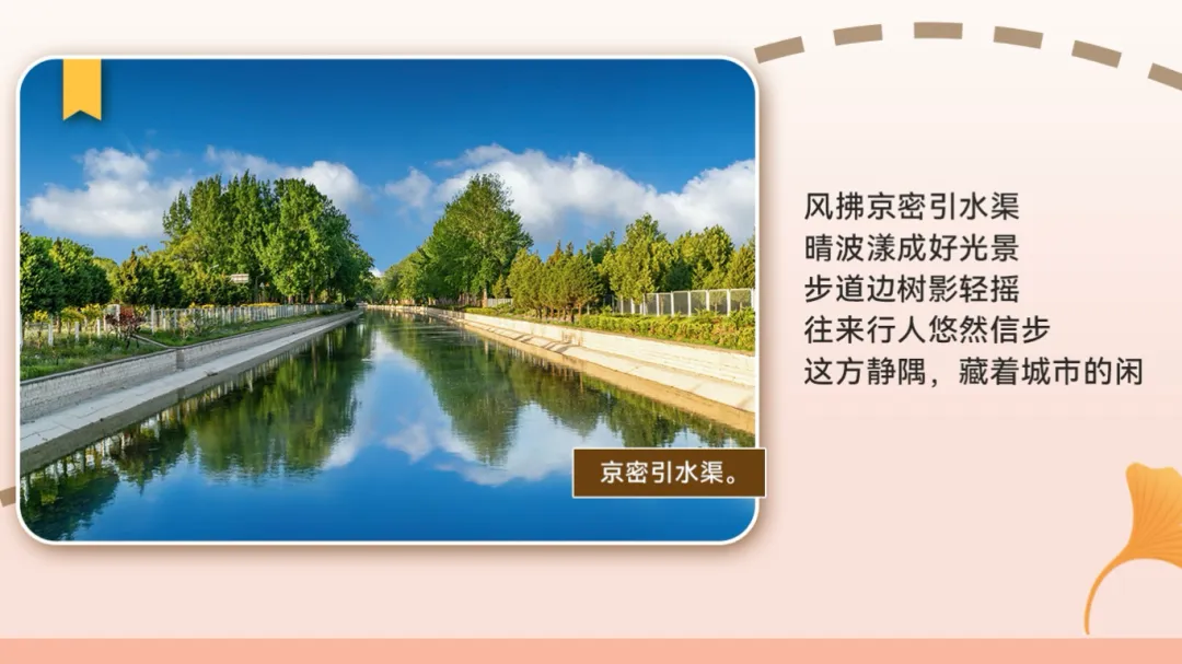 微信图片_2026-01-13_173809_941