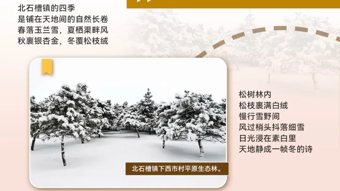 微信图片_2026-01-13_173805_829