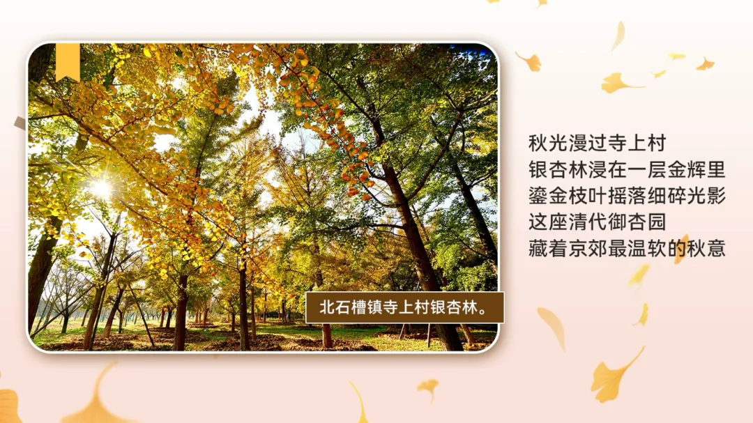 微信图片_2026-01-13_173812_140