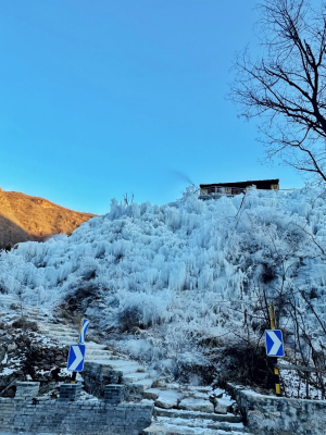 微信图片_2026-01-16_101155_441