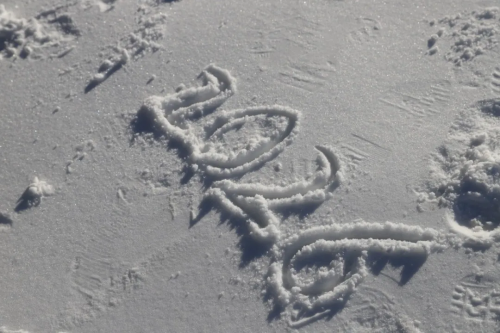 微信图片_2026-01-16_101201_122