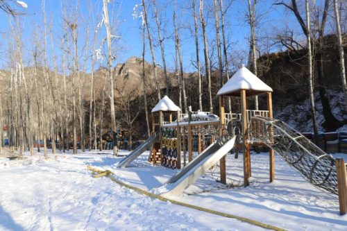 微信图片_2026-01-16_101206_786