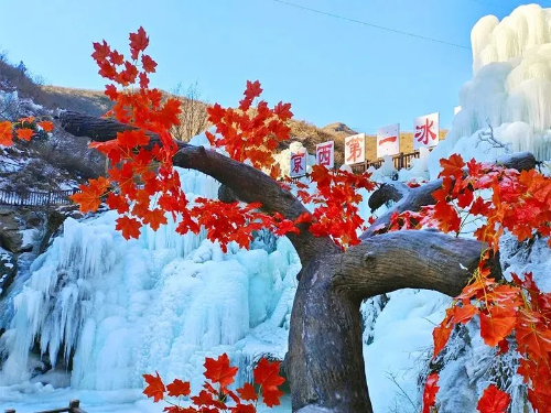 微信图片_2026-01-16_101209_410