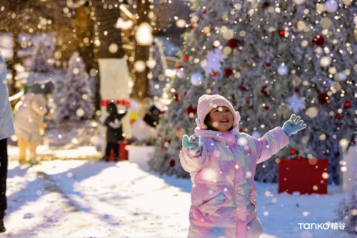 微信图片_2026-01-16_101218_154