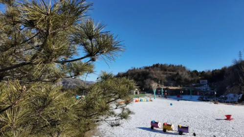 微信图片_2026-01-16_101215_146