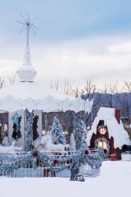 微信图片_2026-01-16_101223_769