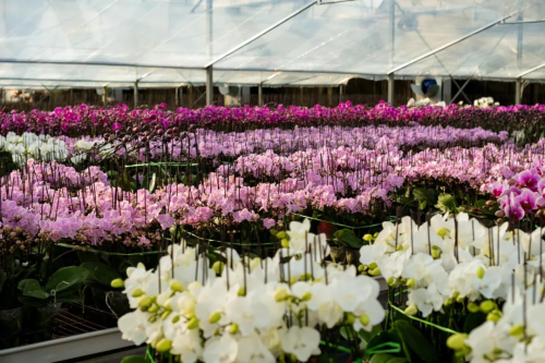 微信图片_2026-01-22_174104_726