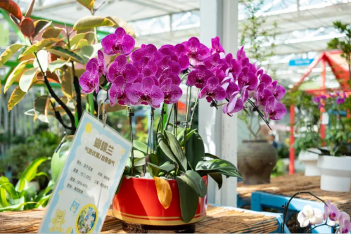 微信图片_2026-01-22_174110_934