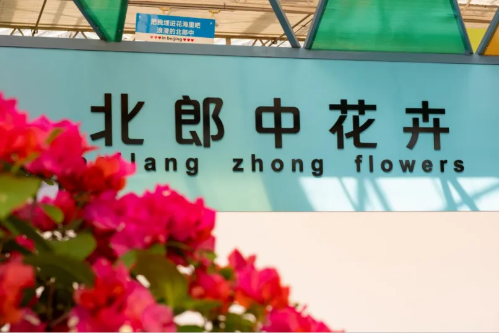 微信图片_2026-01-22_174108_382