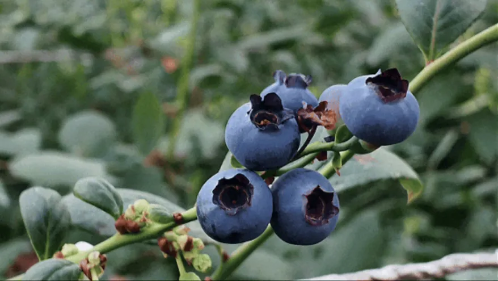 微信图片_2026-01-22_174115_806