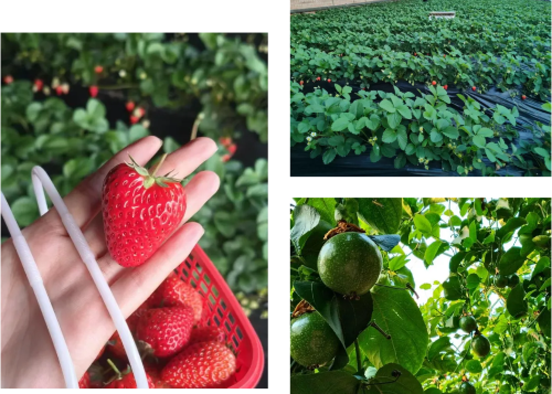 微信图片_2026-01-22_174123_327