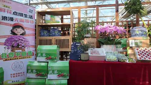 微信图片_2026-01-22_174118_318