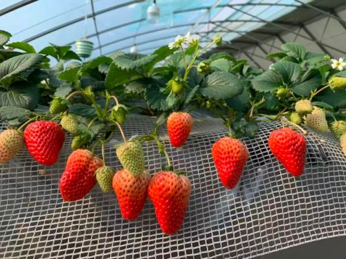 微信图片_2026-01-28_103446_172