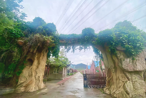 微信图片_2026-01-28_103452_067