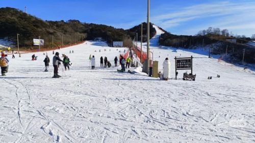 微信图片_2026-01-29_175303_006