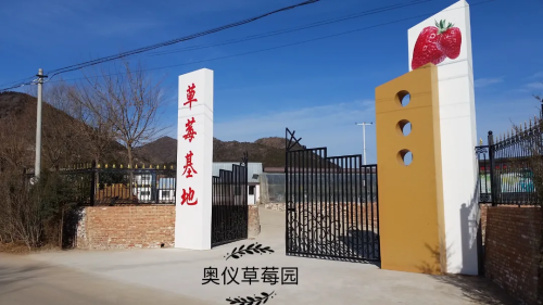 微信图片_2026-02-04_095035_877