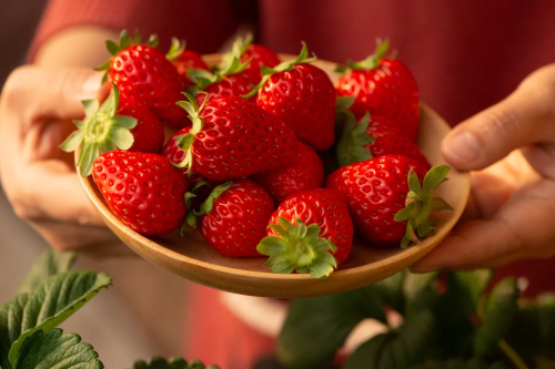 微信图片_2026-02-04_095047_484