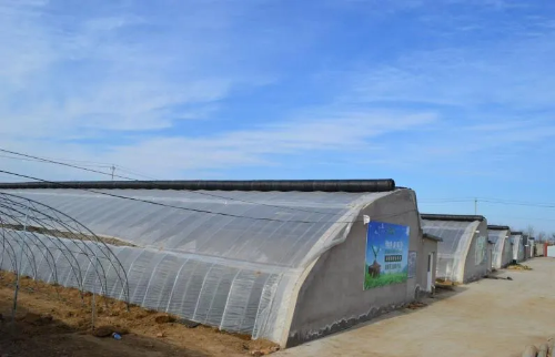 微信图片_2026-02-04_095049_733