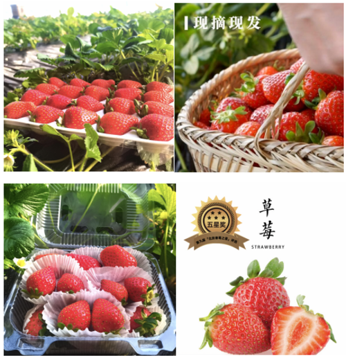 B600FC47-EC0E-4c96-89C6-92E07752984F