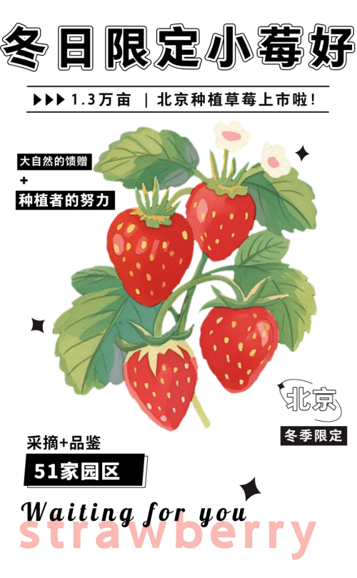 图片24
