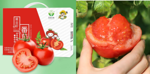 微信图片_20250120103457 微信图片_20250120103457