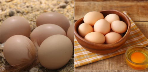 微信图片_20250120103527 微信图片_20250120103527