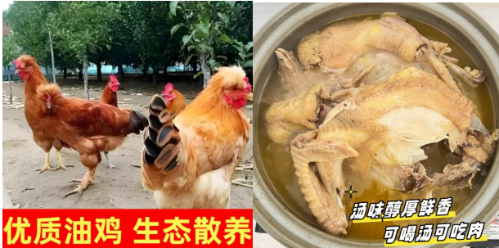 微信图片_20250120103540 微信图片_20250120103540