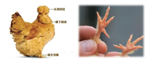 微信图片_20250120161041