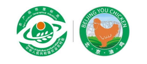 微信图片_20250120161055