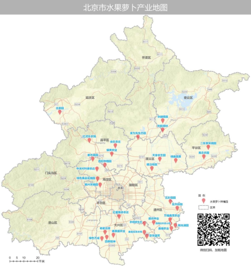 图片16