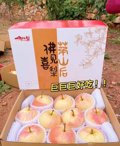 图片24