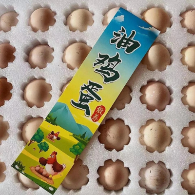 图片30