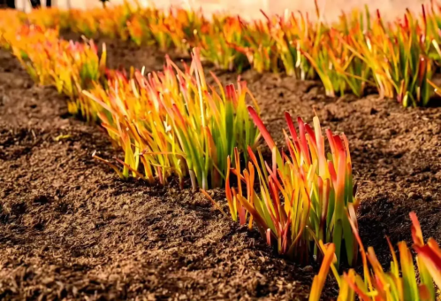 微信图片_2026-02-05_100124_065