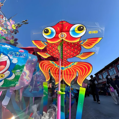 微信图片_2026-02-05_100138_600