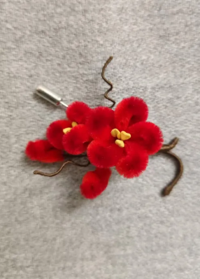 微信图片_2026-02-06_120412_192