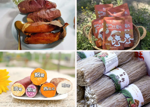 微信图片_2026-02-06_124324_356