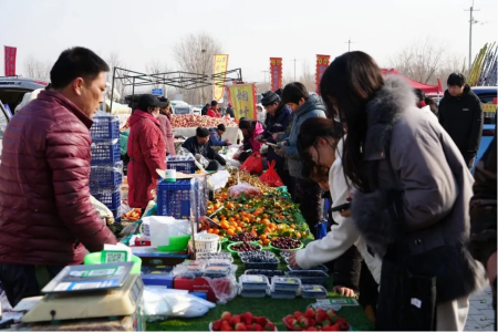 微信图片_2026-02-09_120505_070