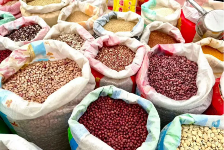 微信图片_2026-02-09_120520_150