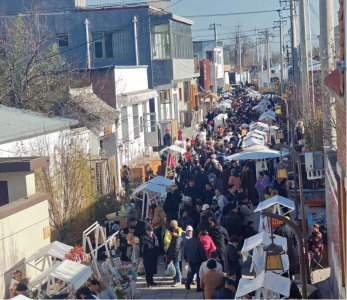 微信图片_2026-02-09_120531_534