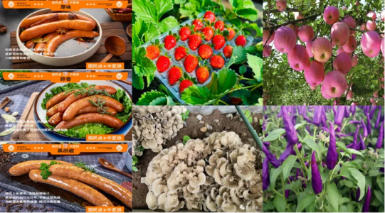 微信图片_2026-02-09_120544_399