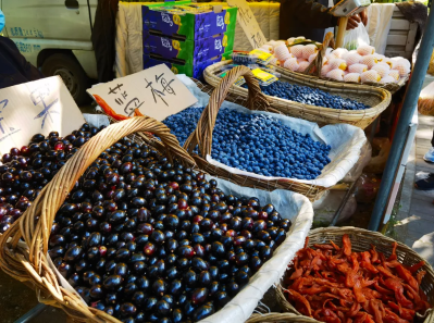 微信图片_2026-02-09_152109_564