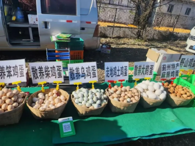 微信图片_2026-02-09_152133_539