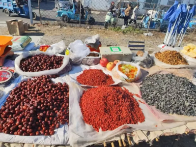 微信图片_2026-02-09_152131_427