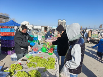 微信图片_2026-02-09_152139_622