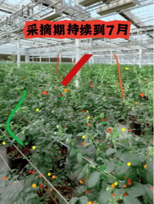 微信图片_2026-02-11_110055_646