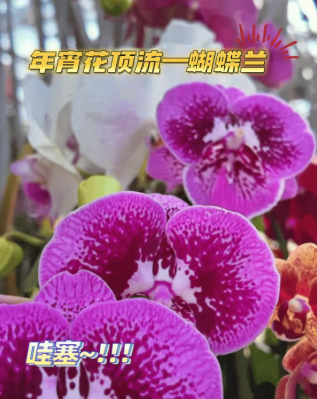 微信图片_2026-02-14_092227_306