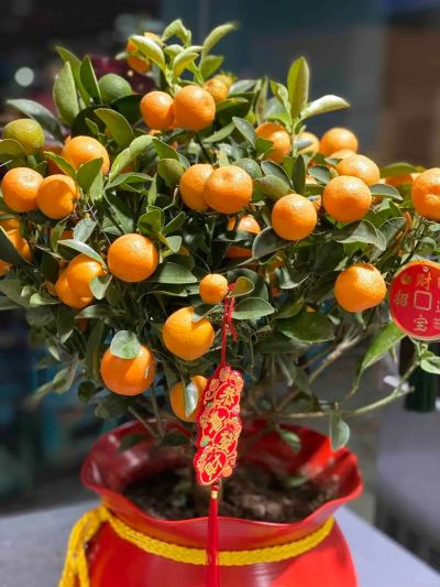 微信图片_2026-02-14_092352_659