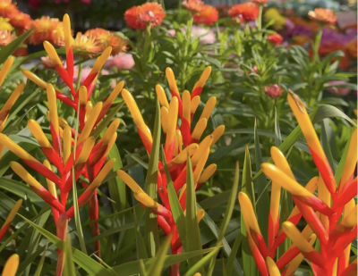 微信图片_2026-02-14_092345_731